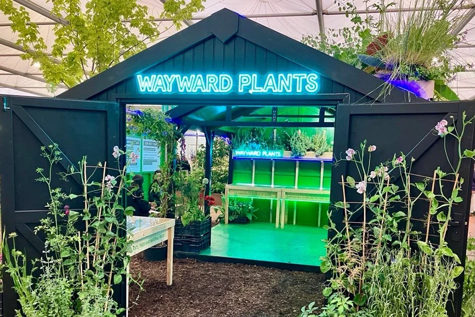 10 Years of Reuse Exhibition at RHS Chelsea Flower Show 2026