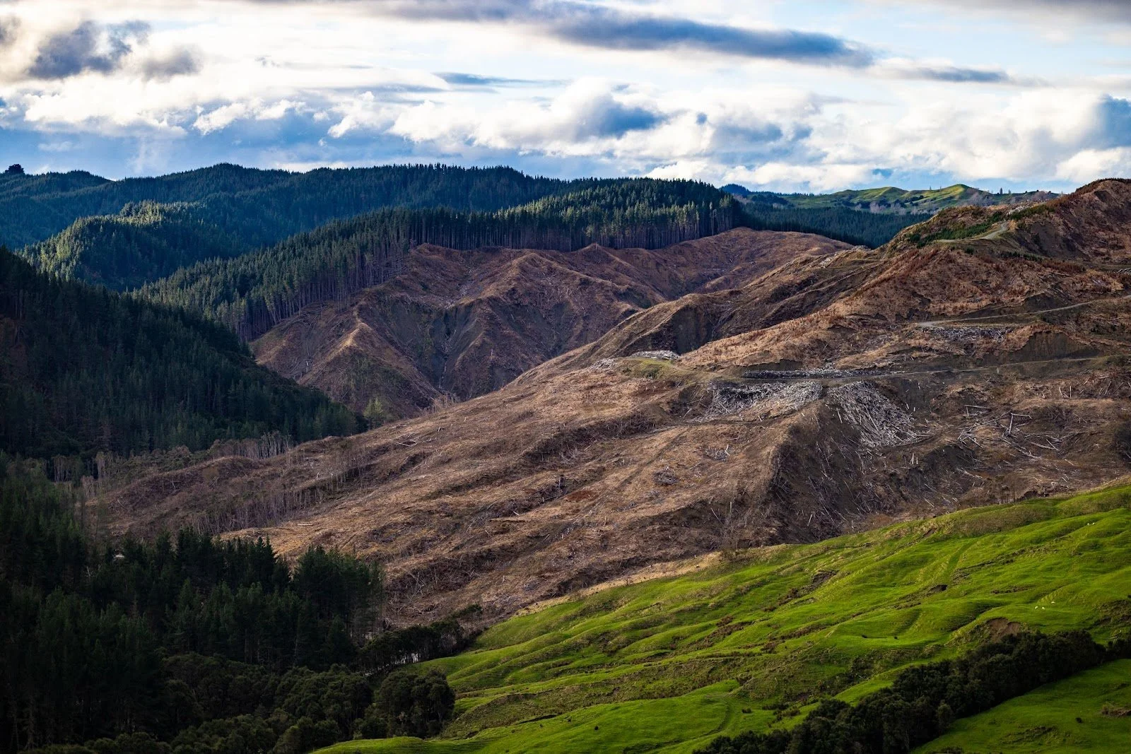 2024 NZGAJC Photography and Journalism Awards Winners Announced