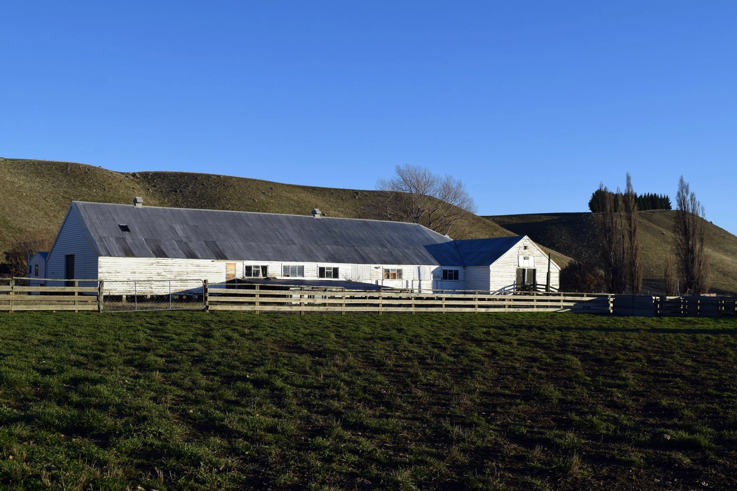 Central Otago woolshed