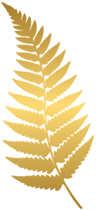 Golden-colored fern leaf isolated on black background.