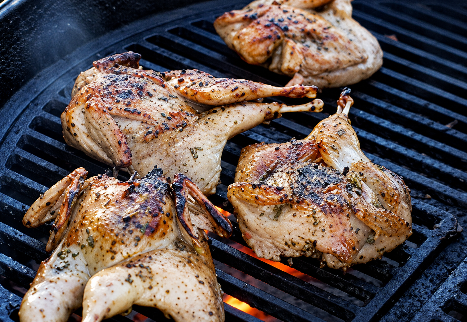 Grilled Butterflied Quail