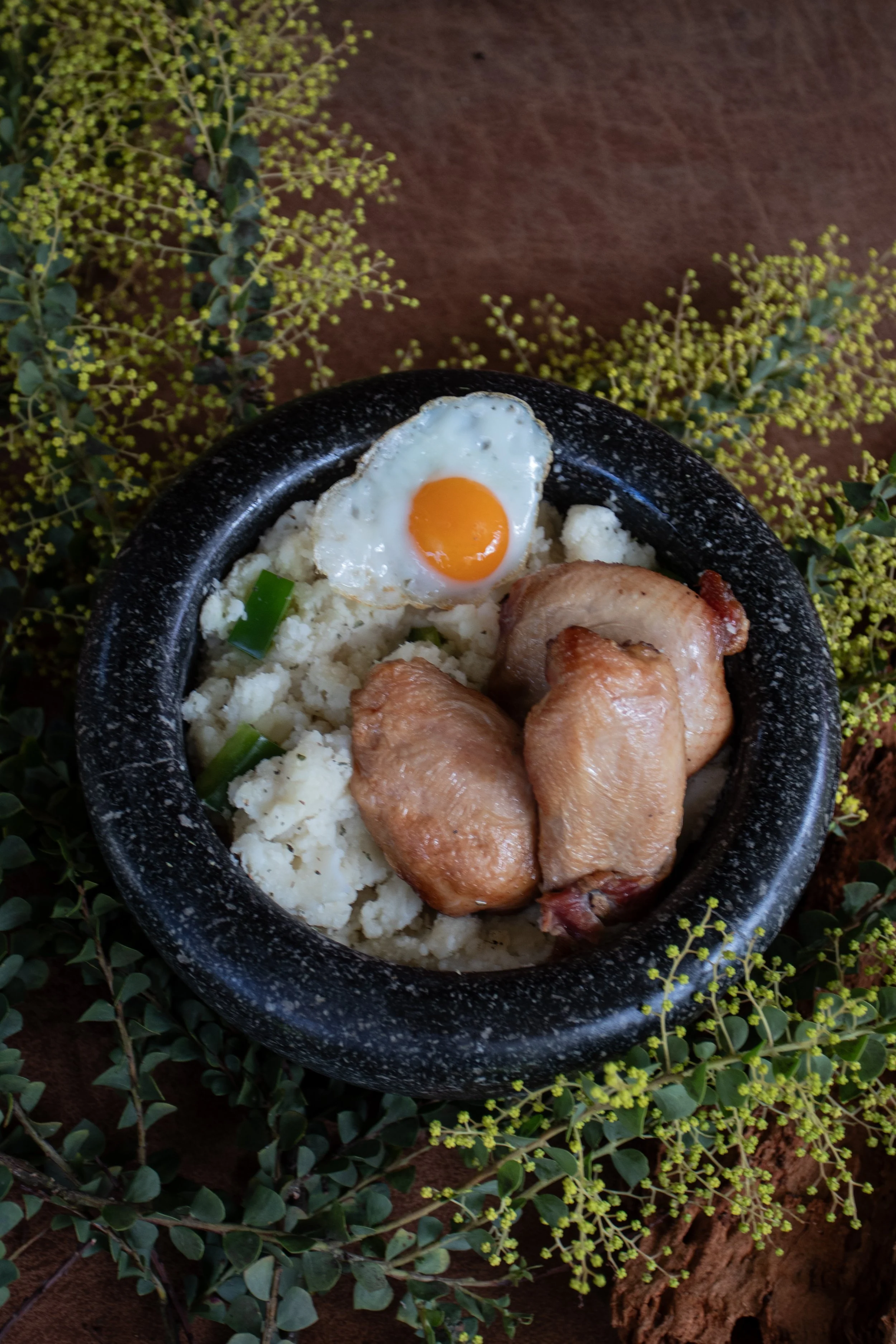 A bowl of mashed potatoes, a fried egg with a runny yolk, a piece of chicken, and some green vegetable garnish, placed on a black textured bowl, with yellow flowering plants and brown soil in the background.