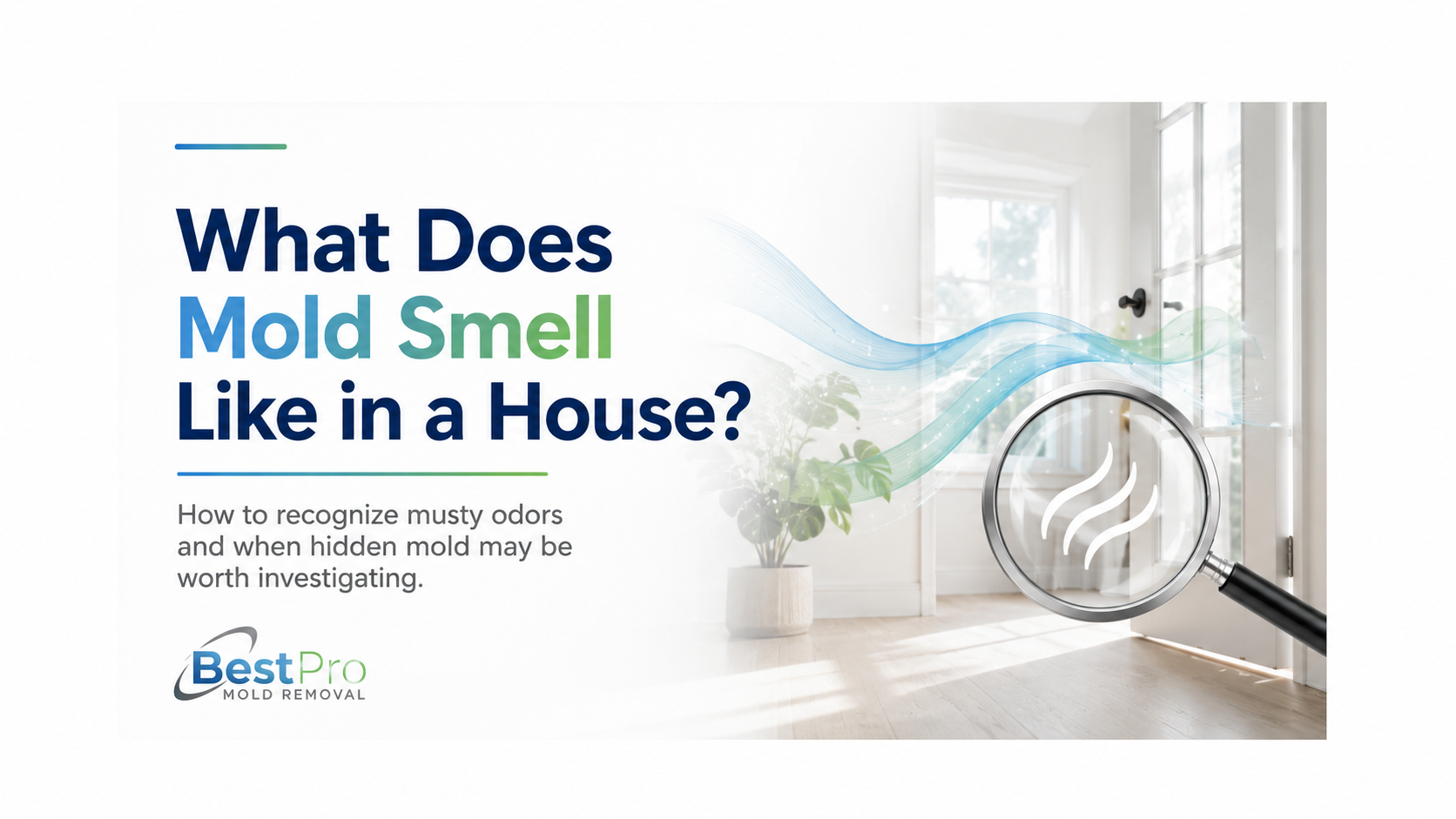 What does mold smell like in a house?