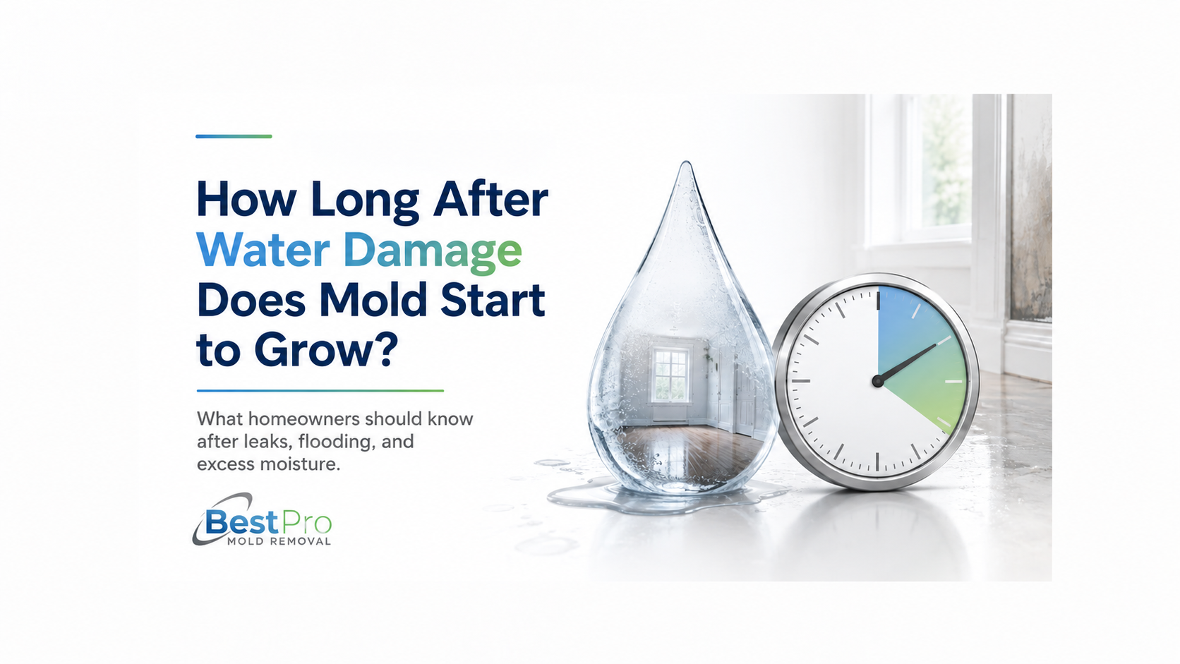 How Long After Water Damage Does Mold Start to Grow?