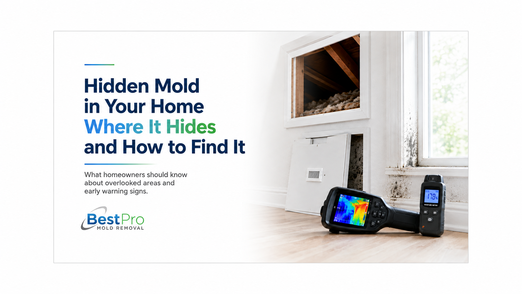 Do You Need Mold Testing Before Mold Removal?