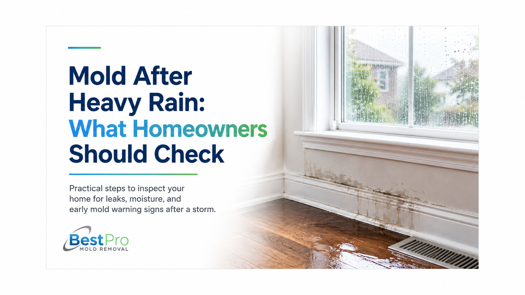 Mold After Heavy Rain: What Homeowners Should Check