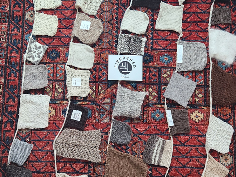 Maine Fibershed Teaching Garland