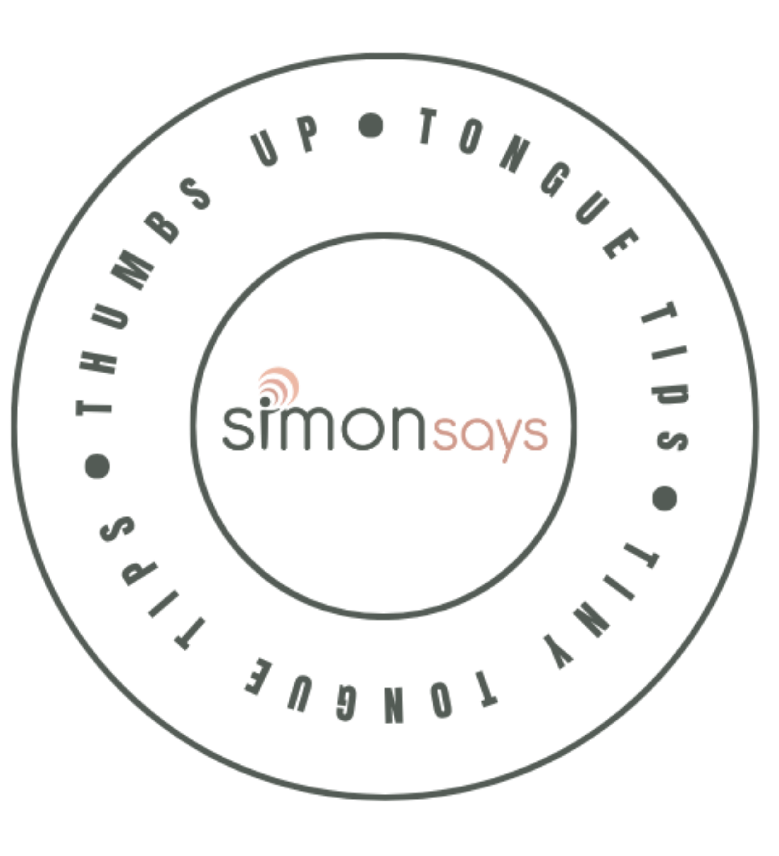 Simmons Toys company logo, black text with pink accents, inside a circular outline.