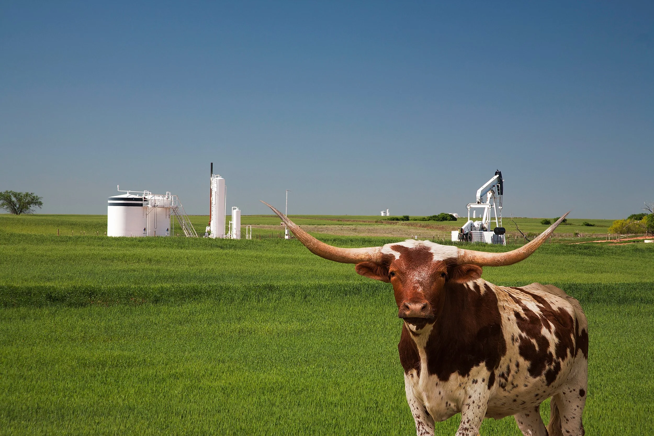 Oculus Energy What We Do Graphic_Oil Field with Longhorn in Foreground
