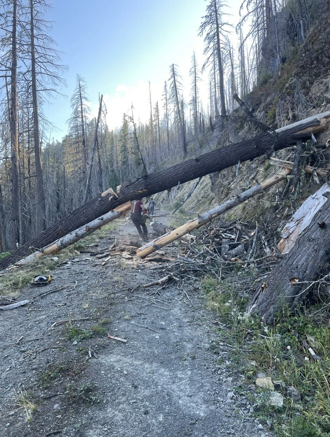 scrambling quickly away from breaking logs