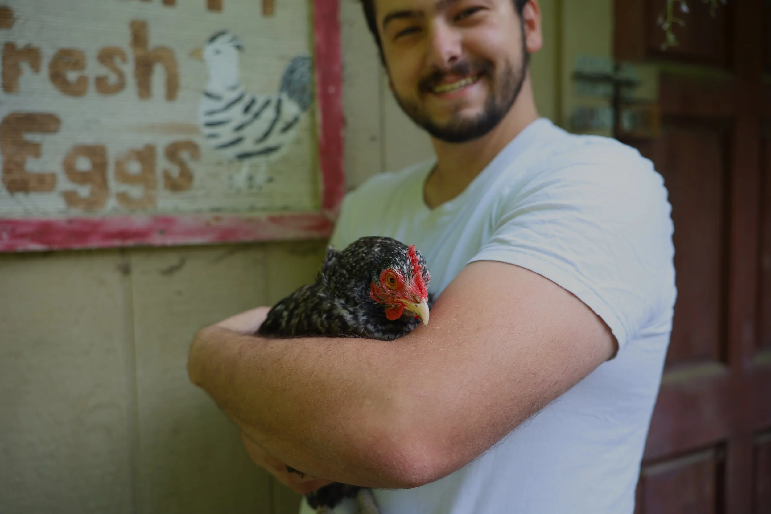 Keeping a close eye on a master escape artist