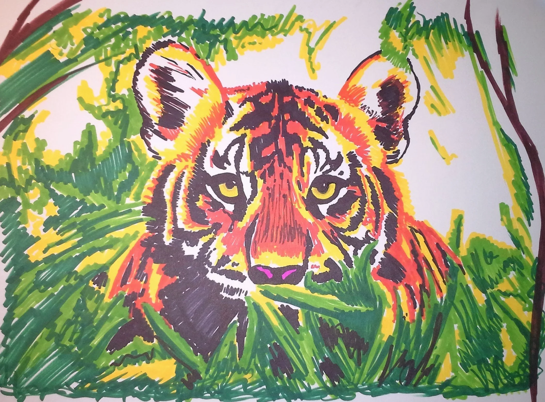 DRAWING 01.jpg