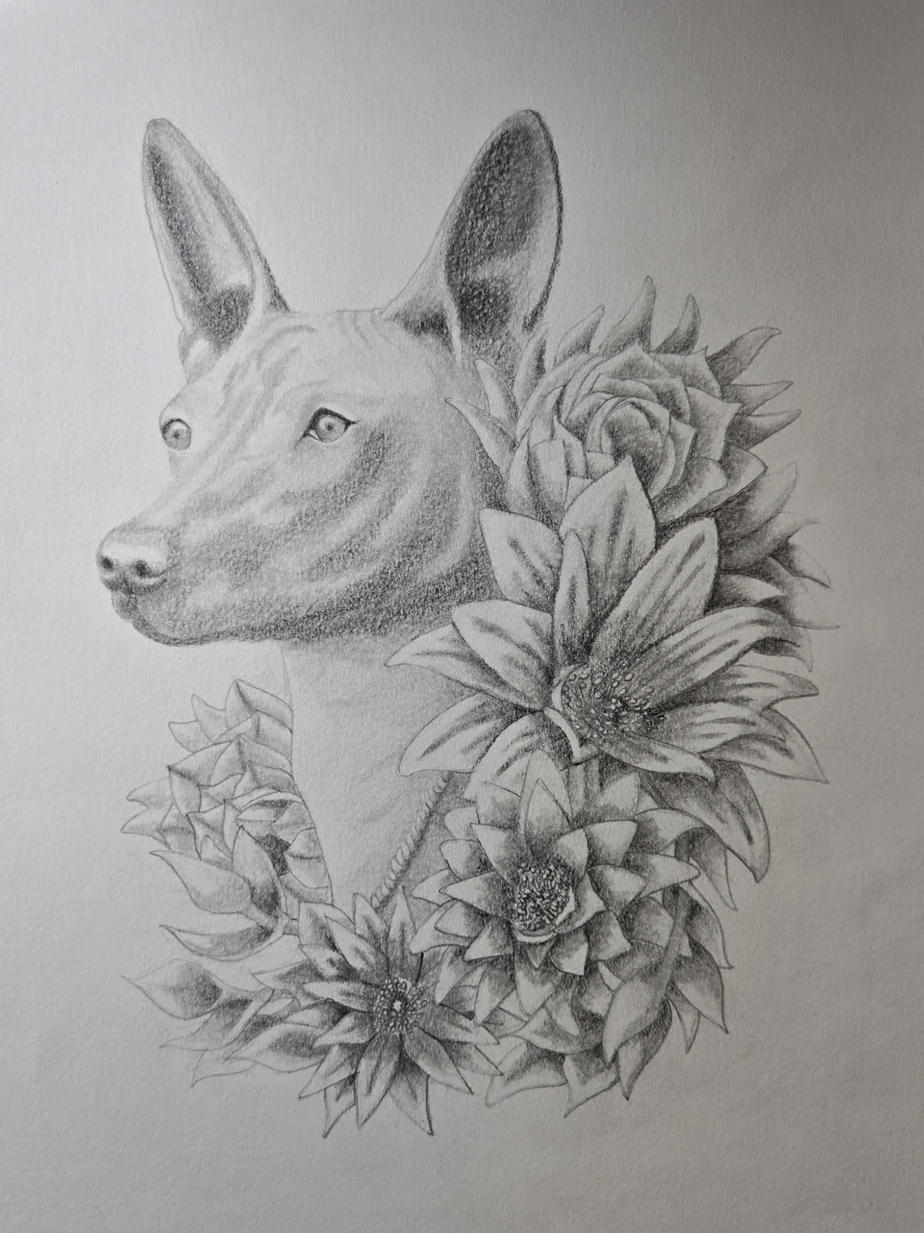 Drawings
