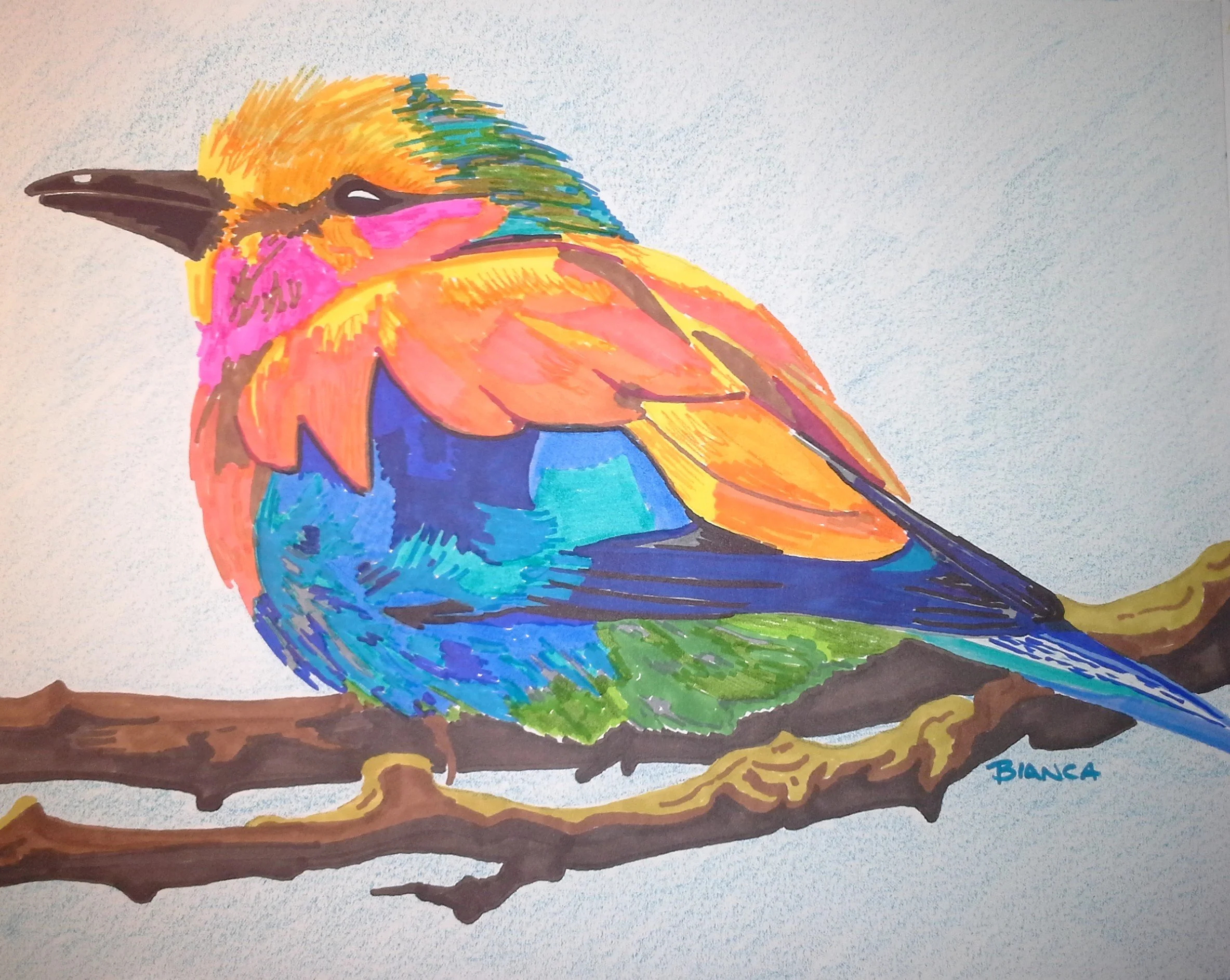 Colorful Bird (Prints)