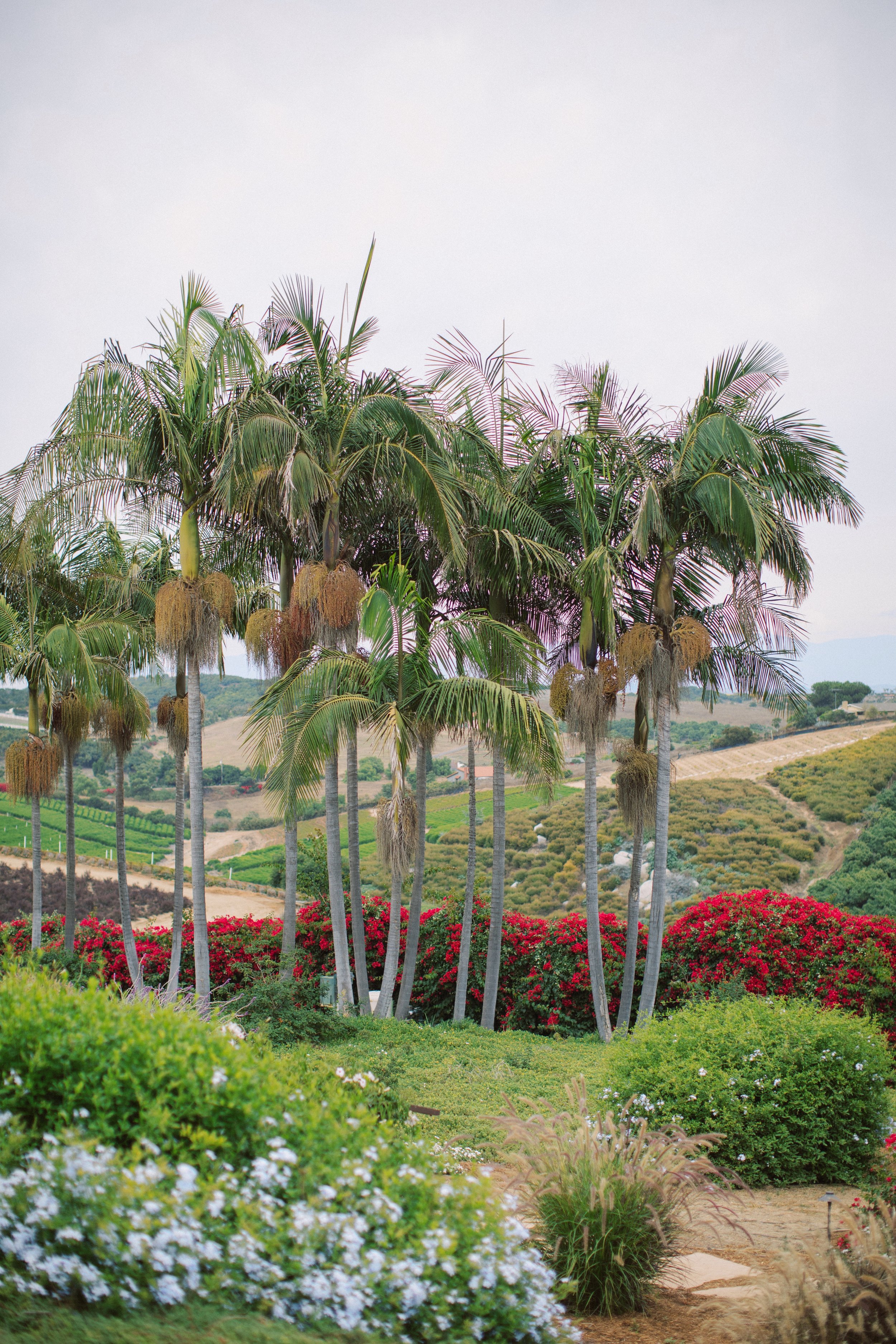 Outdoor tropical scenery at Rancho Vera Cruz in Oceanside CA