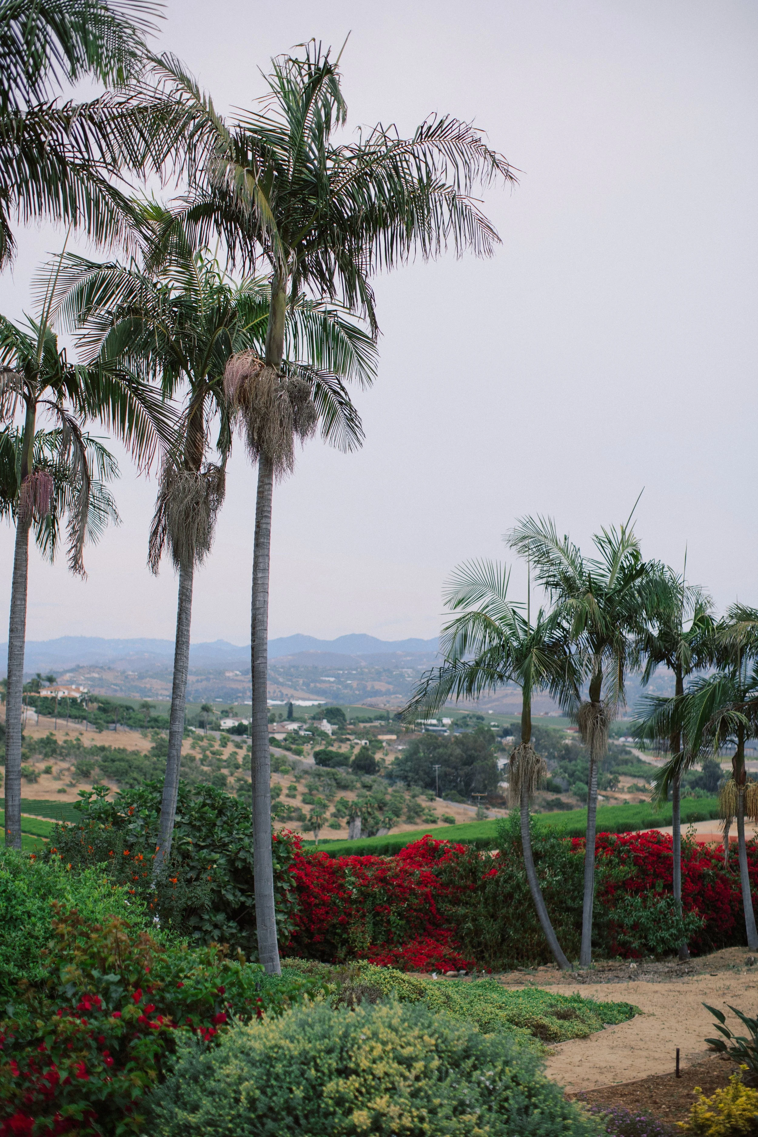 Scenic landscape view of Rancho Vera Cruz wedding venue