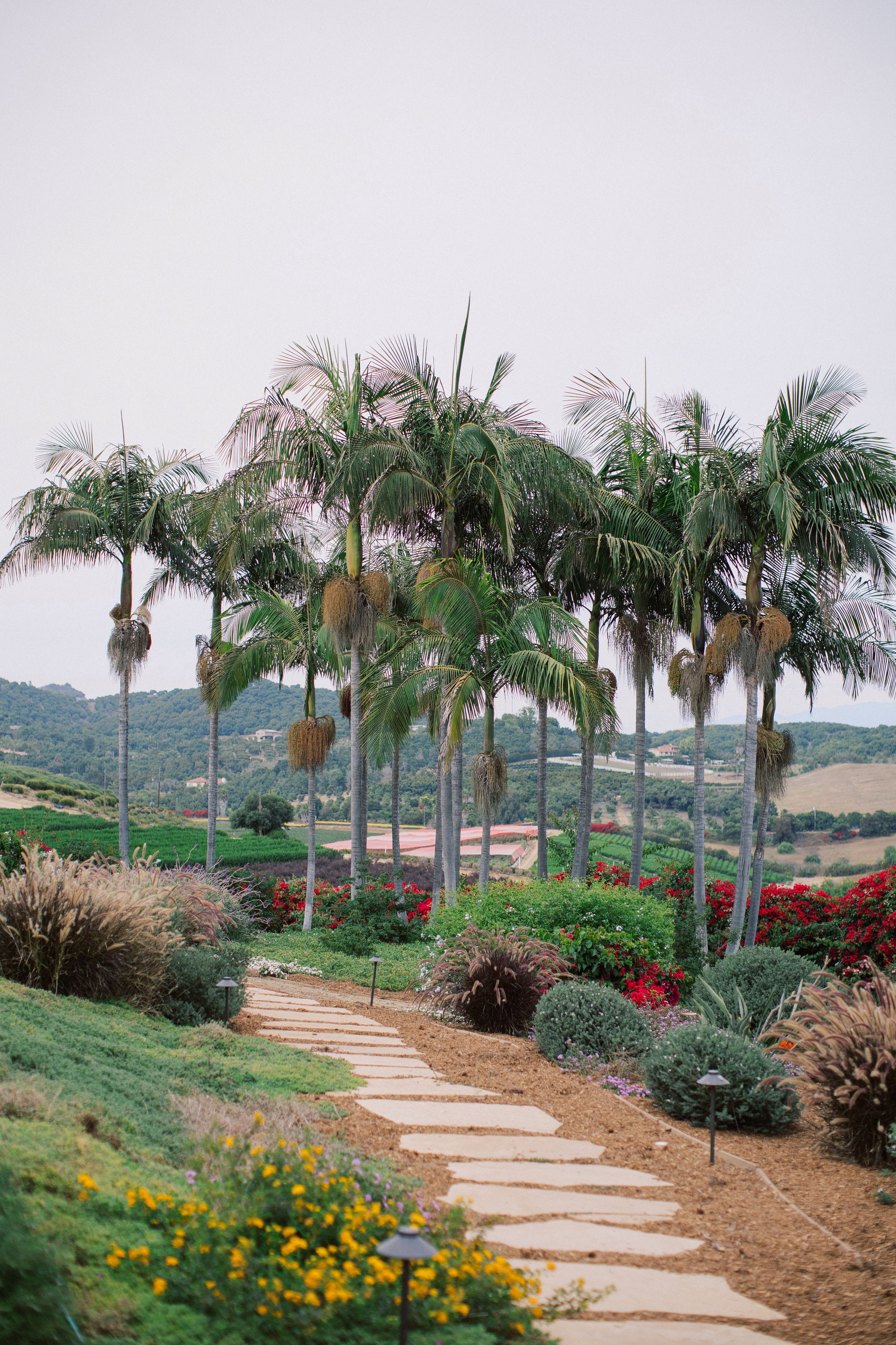 Luxury ranch wedding venue experience at Rancho Vera Cruz
