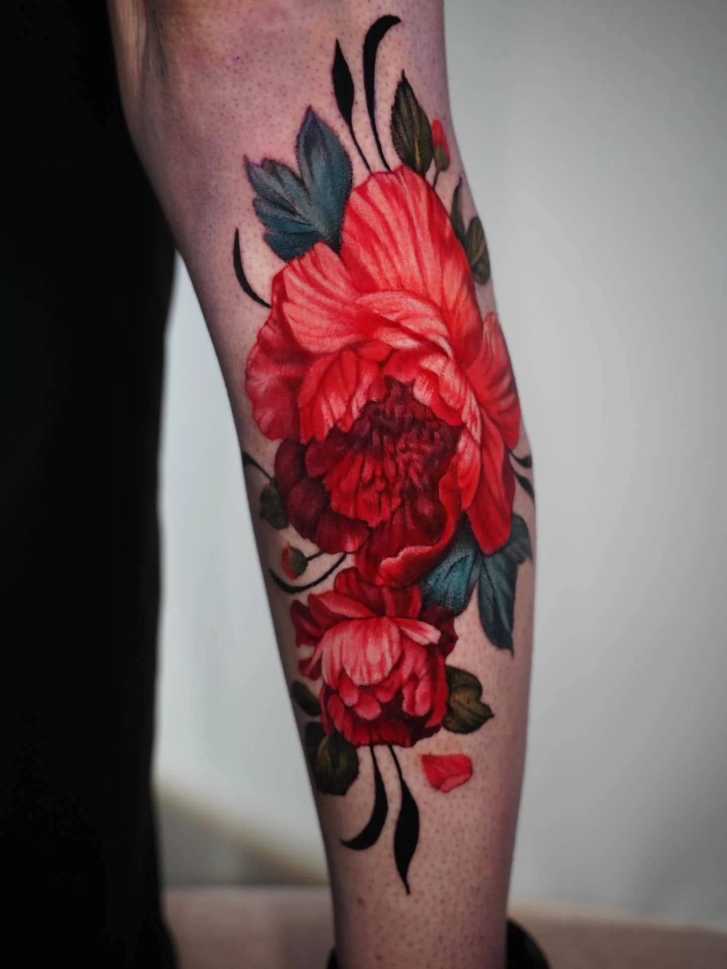 Peonies 🥀✨