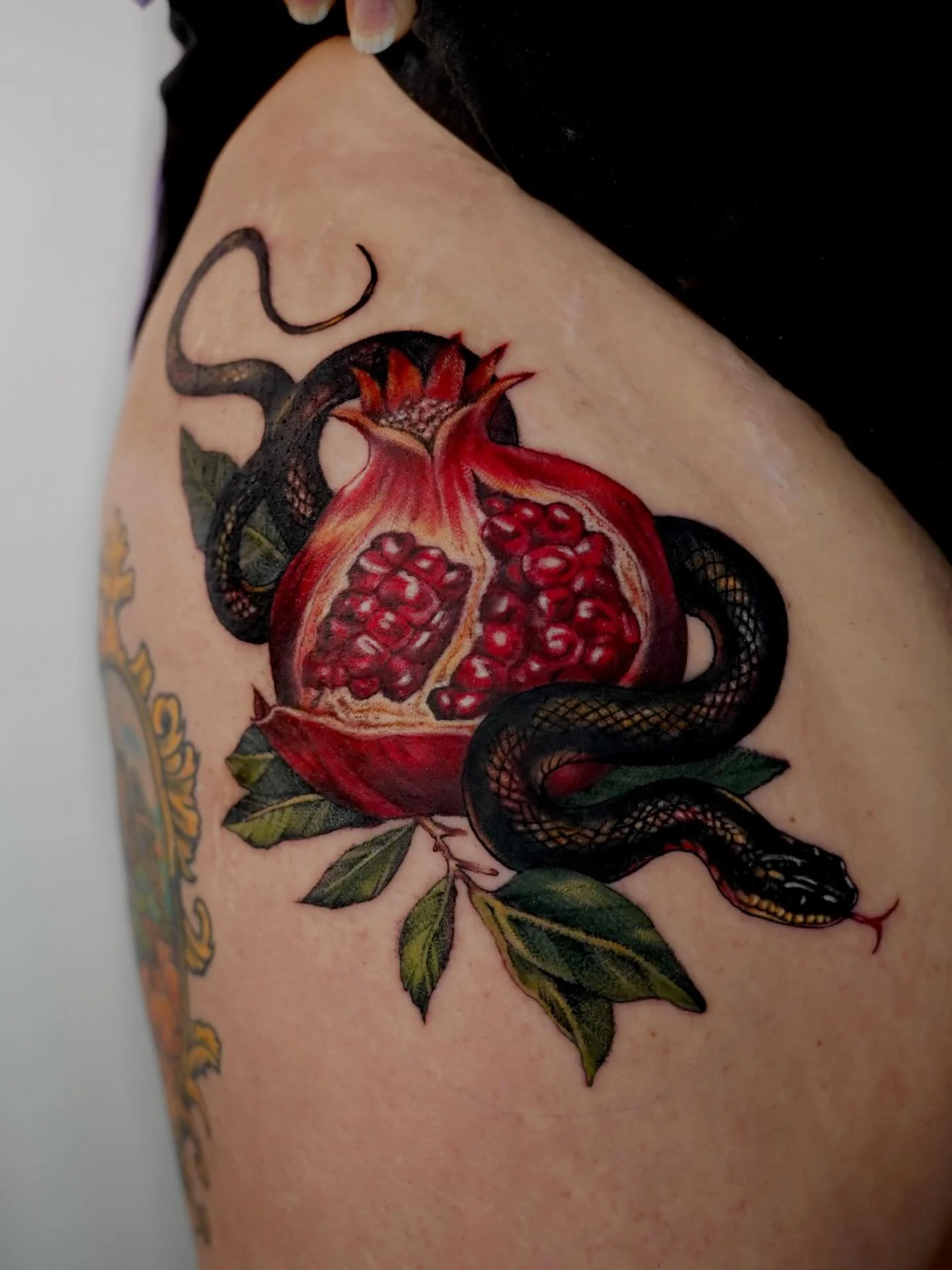snake &amp; pomegranate piece 🖤 

#colortattoo #gripneedles #snaketattoo #pomegranatetattoo #jacksontn