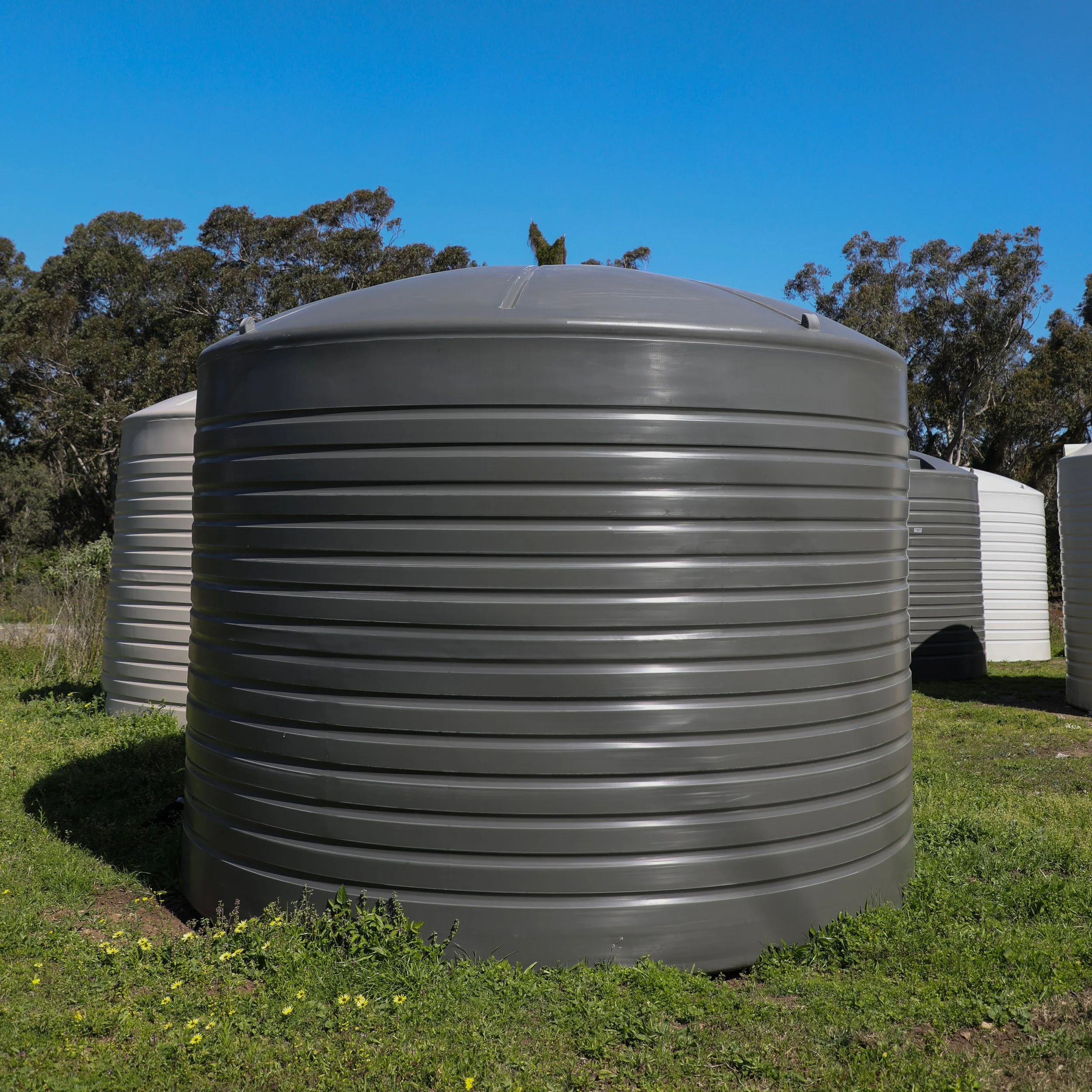 BP23000L_0K1A5717.jpg