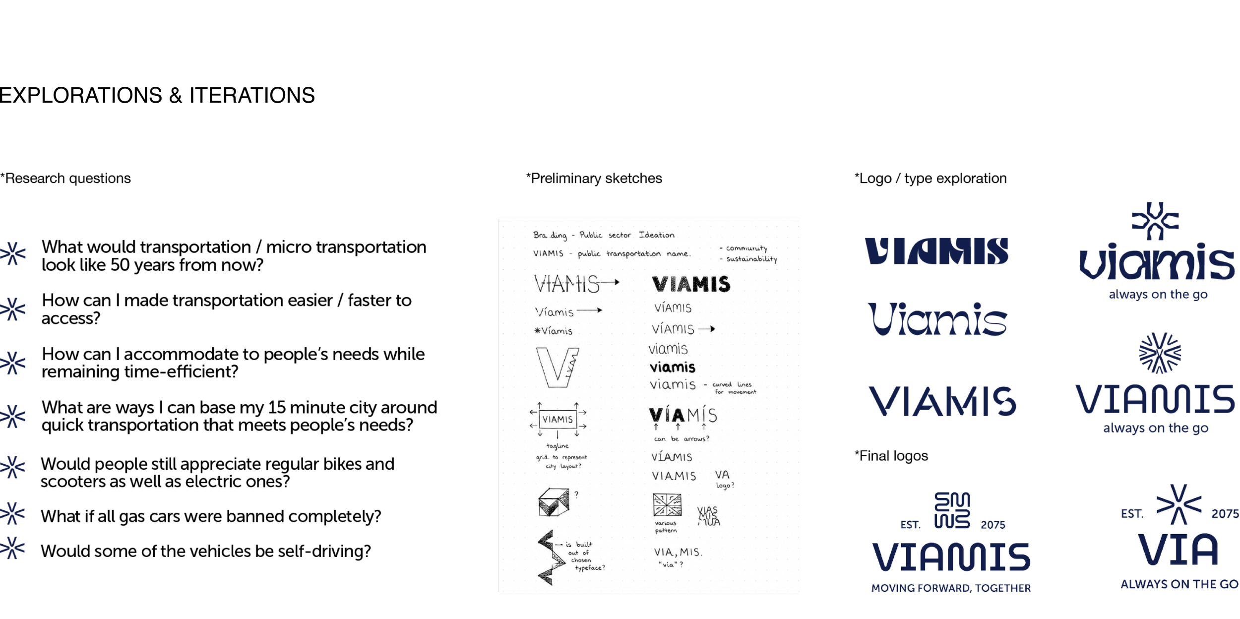 Viamis_Process.png