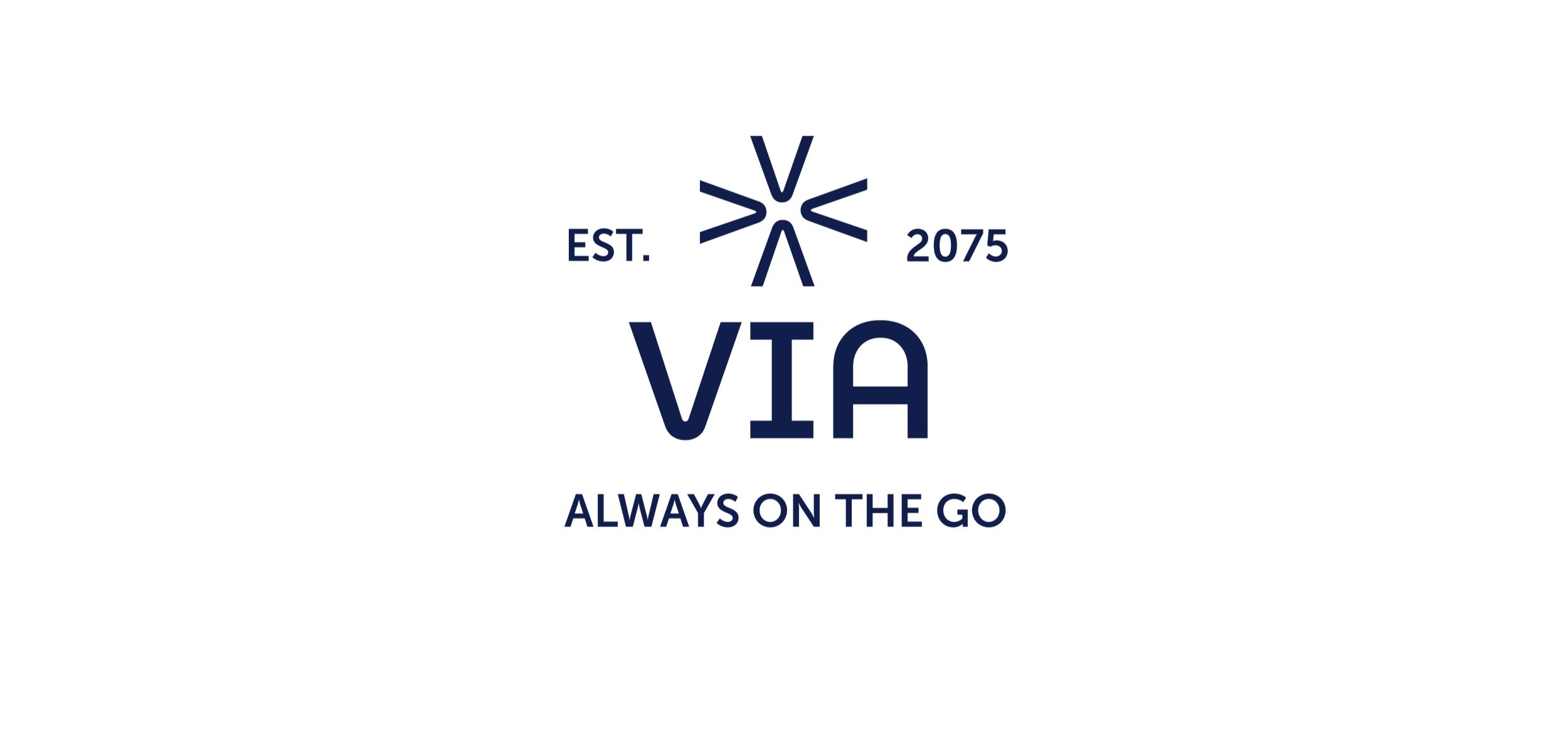 via-logo.png