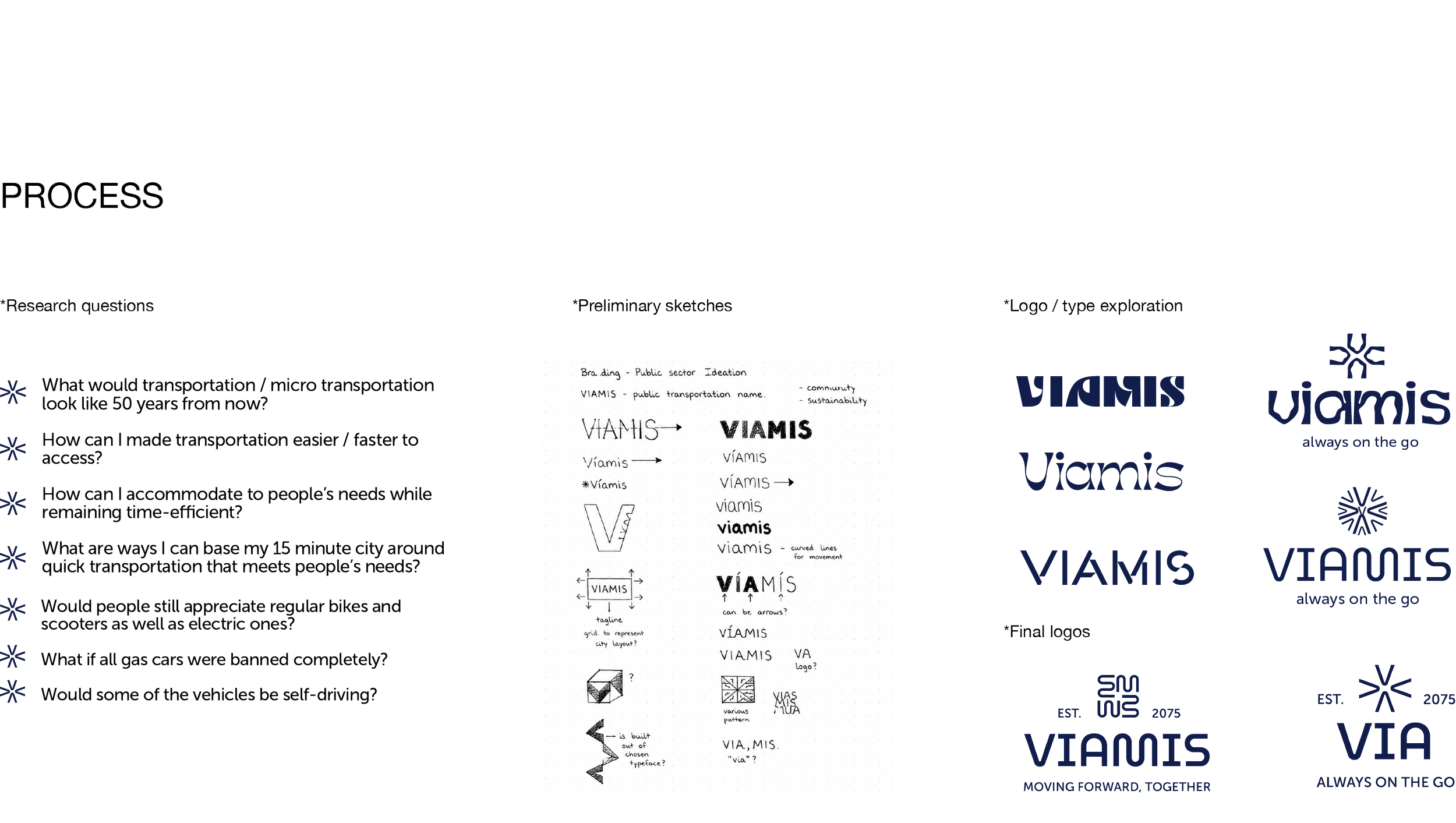 Viamis_Process.png