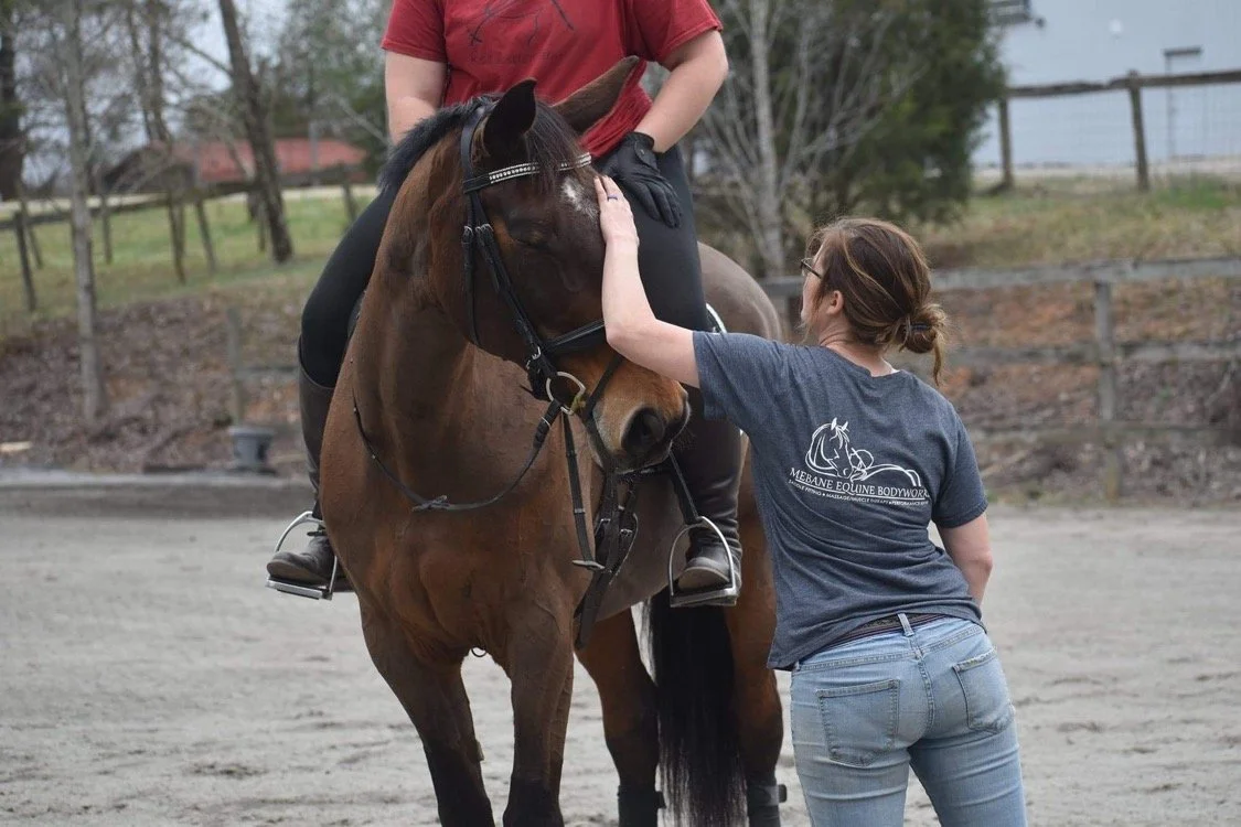 Certified independent specialist Tara Mebane performing a hands-on biomechanical and behavioral evaluation during a whole-horse Foundation Session.