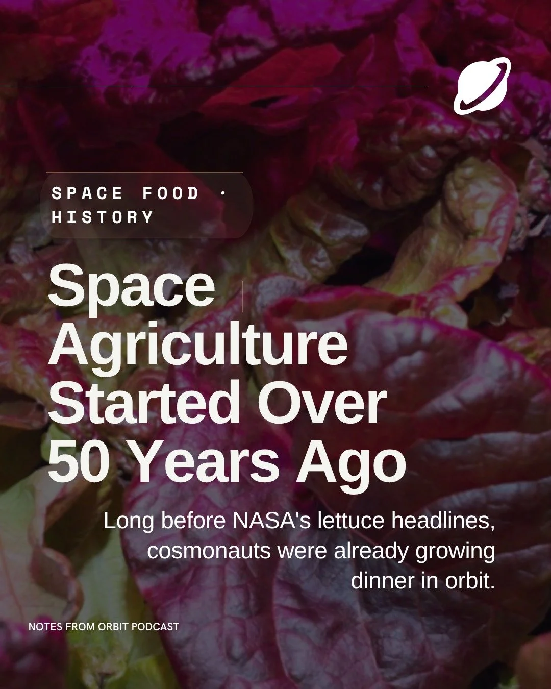 The first food grown in space was not a potato. It was a spring onion. 

In 1975, Soviet cosmonauts grew small spring onions aboard the Salyut 4 space station. That early experiment helped answer a much bigger question: could humans produce fresh foo