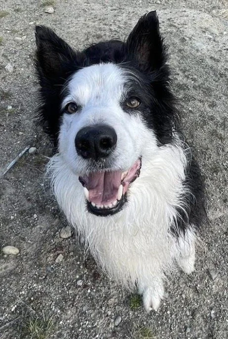 MURPHY