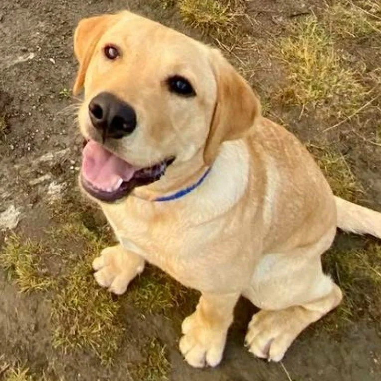 OAKLEY