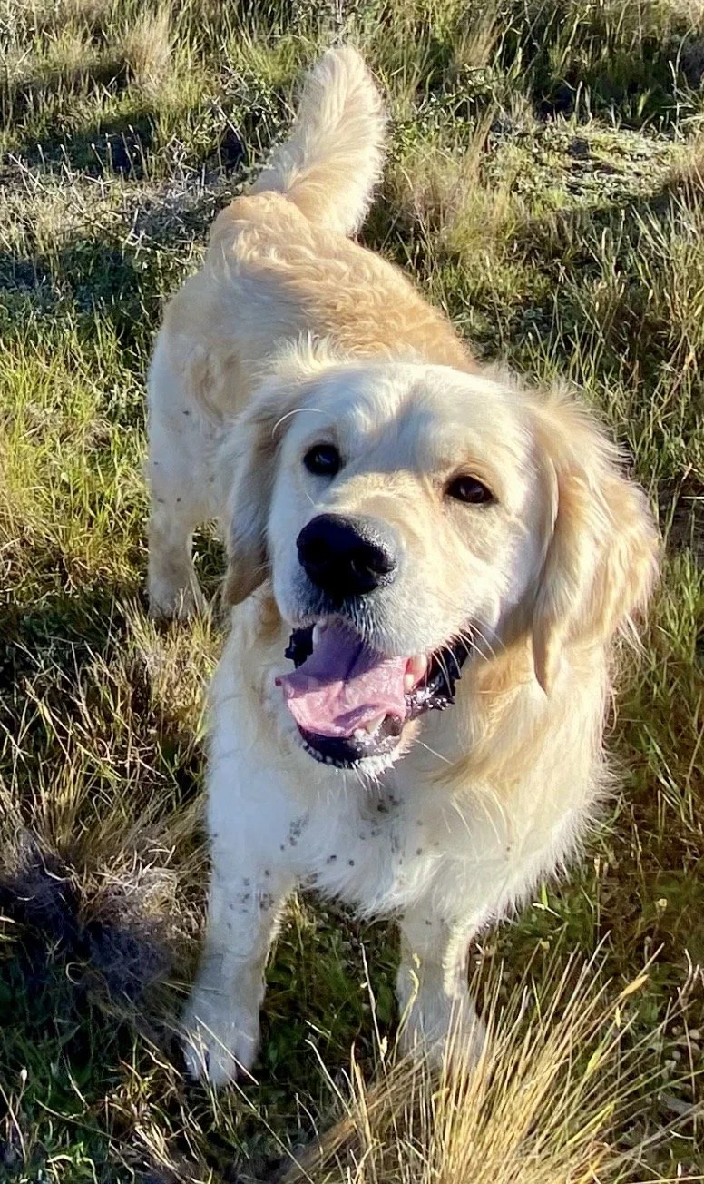 RALPH