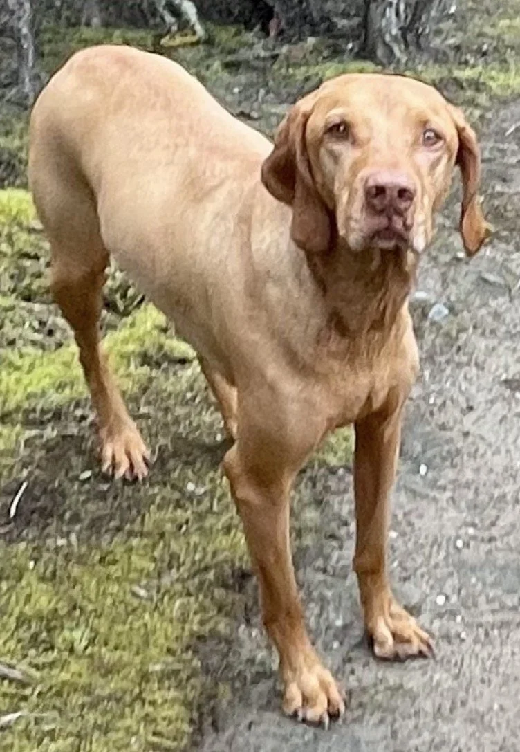 RUSTY