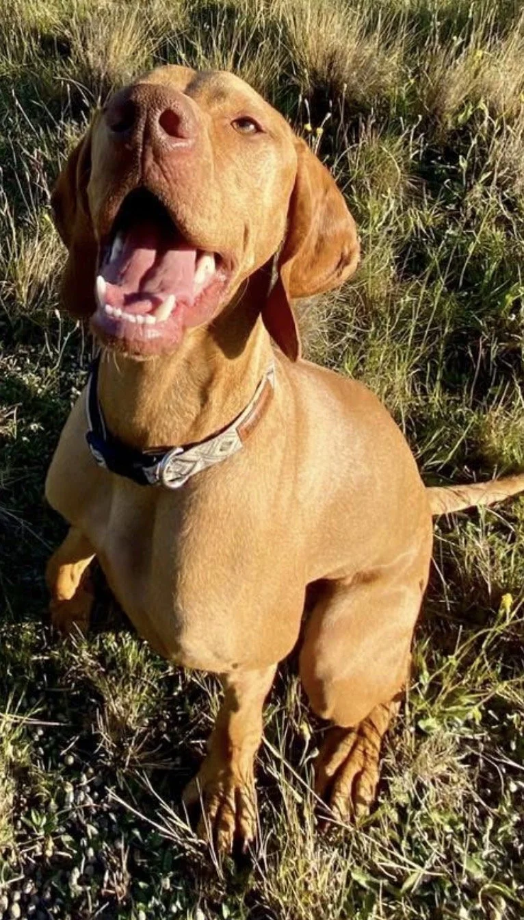 HUXLEY