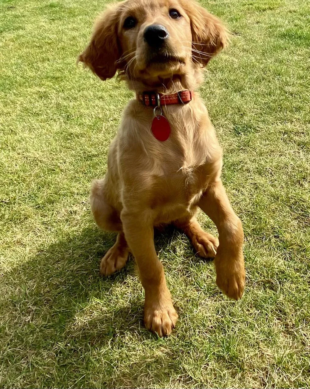 BAILEY