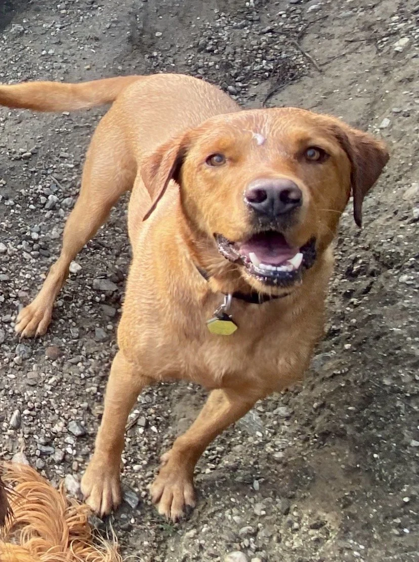 CHARLIE