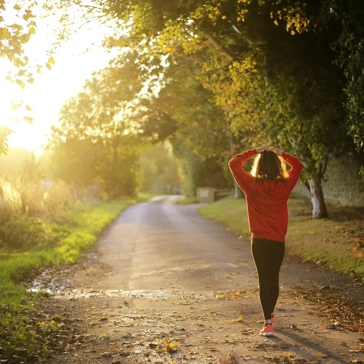 A woman walks through a path in the woods as the sun shines on her