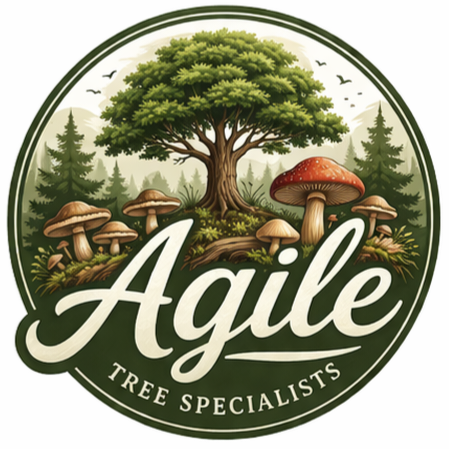 Agile Tree Specialists