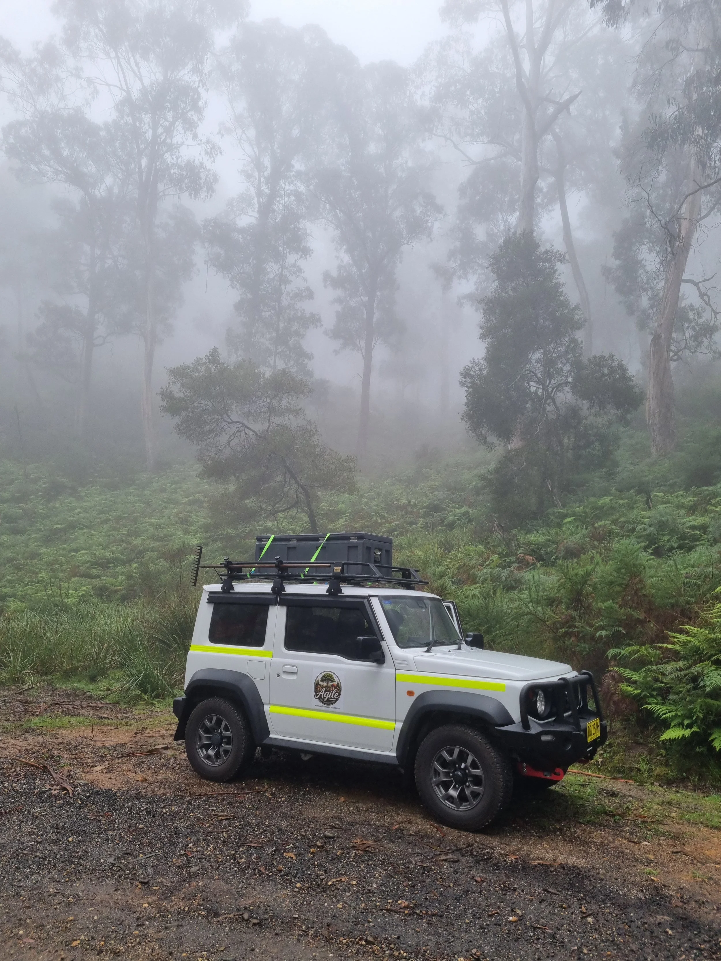 Suzuki Jimny in a forest