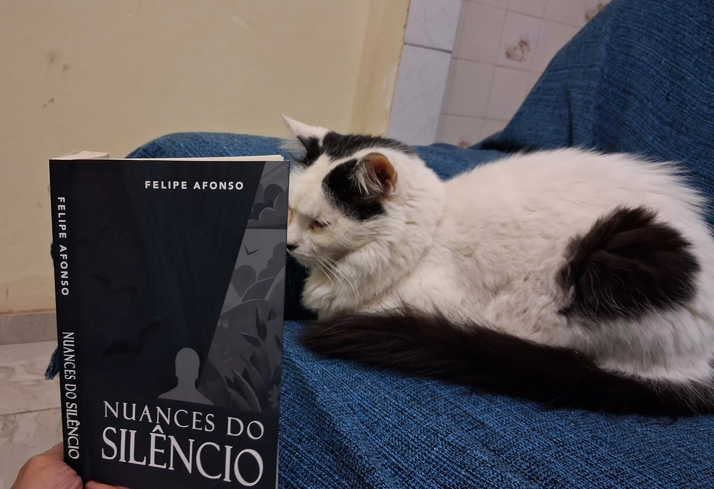 Gato ao lado de um exemplar físico do livro Nuances do Silêncio.
