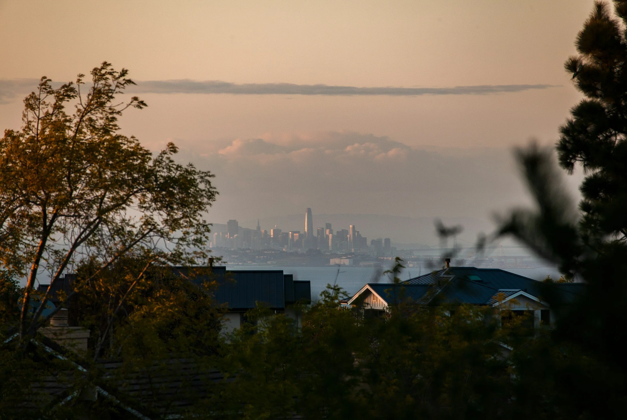 City skyline in the distance with tall buildings, viewed from a residential neighborhood with rooftops and trees in the foreground during sunset.