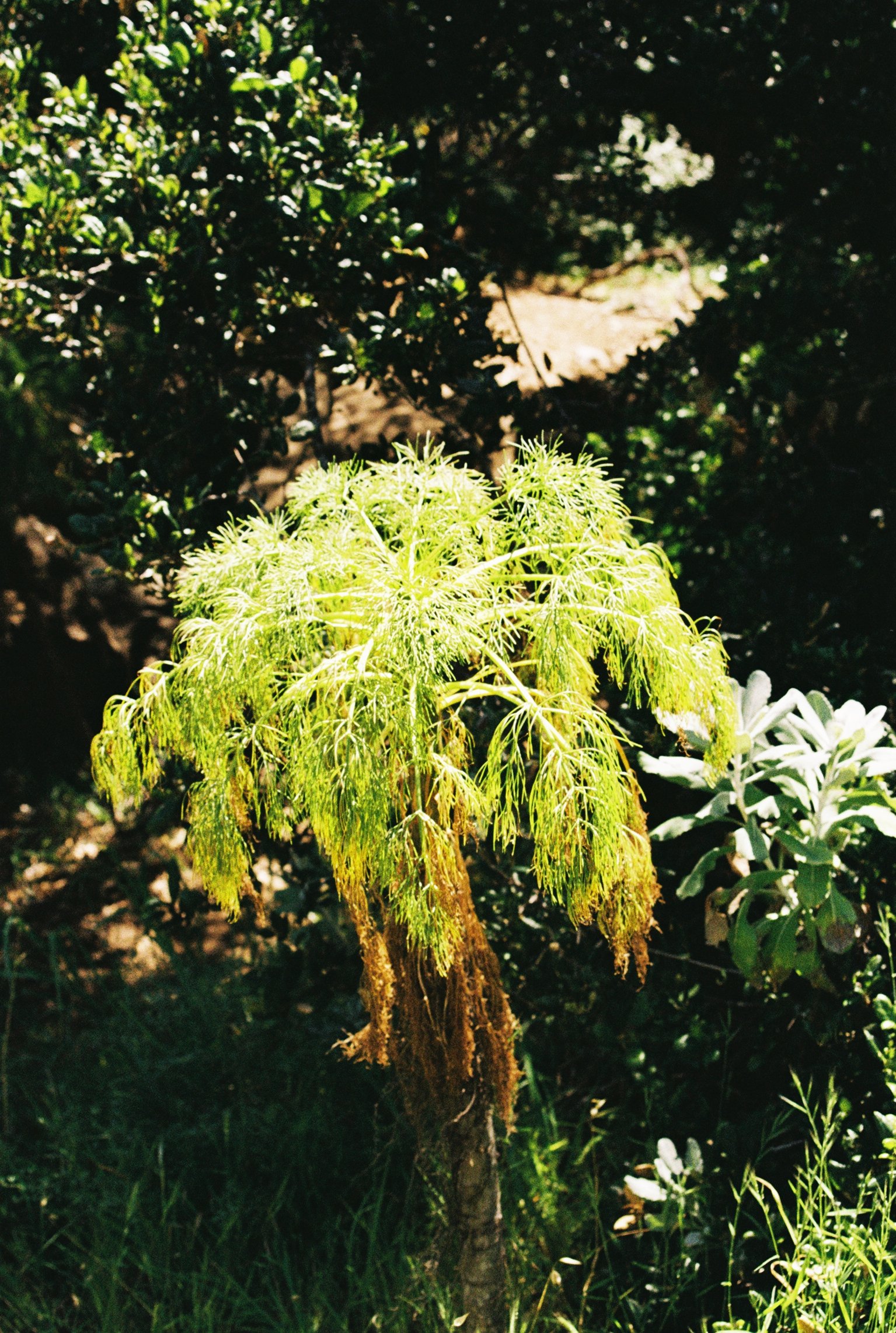 IMG_7772.jpeg