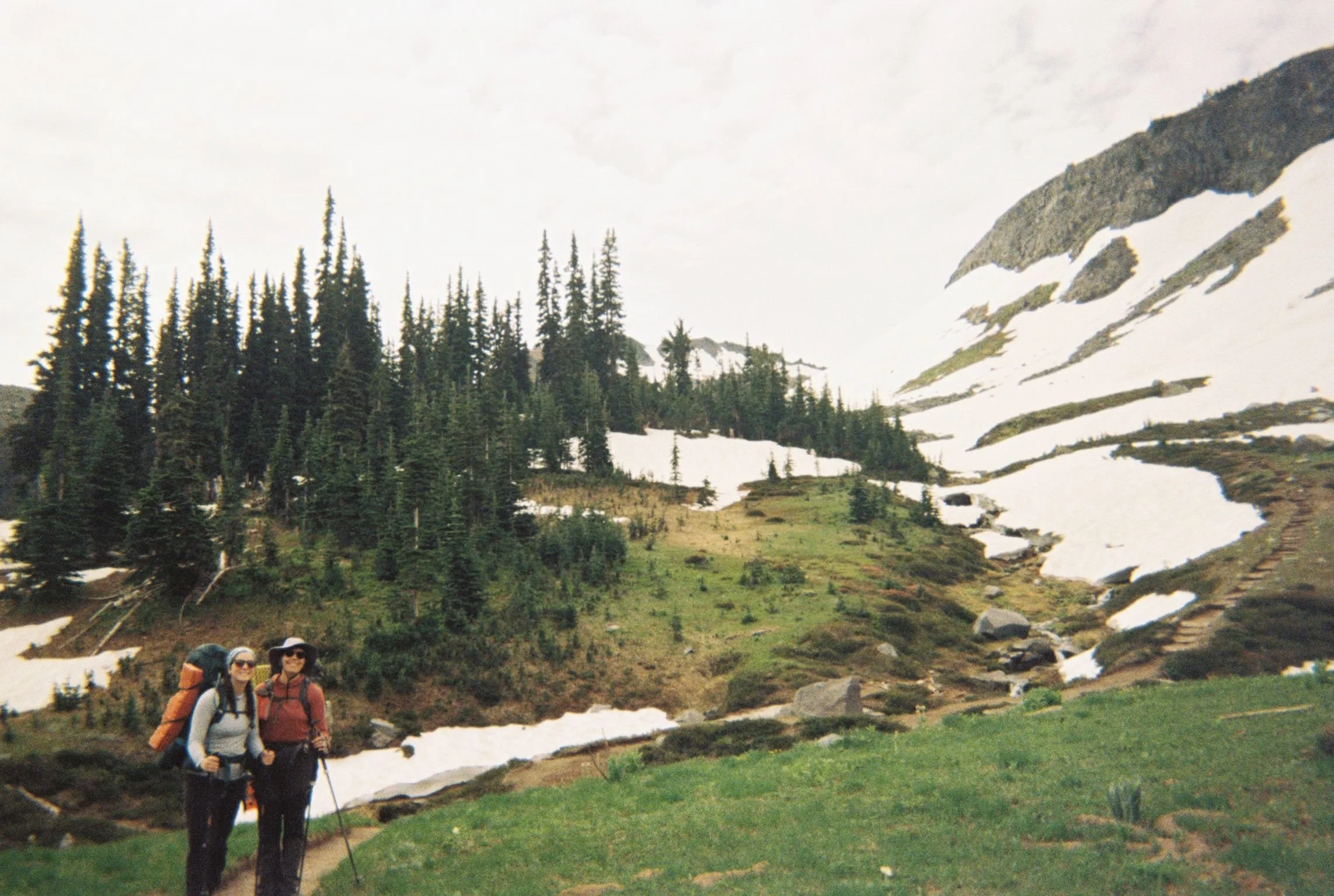 IMG_3525.jpeg