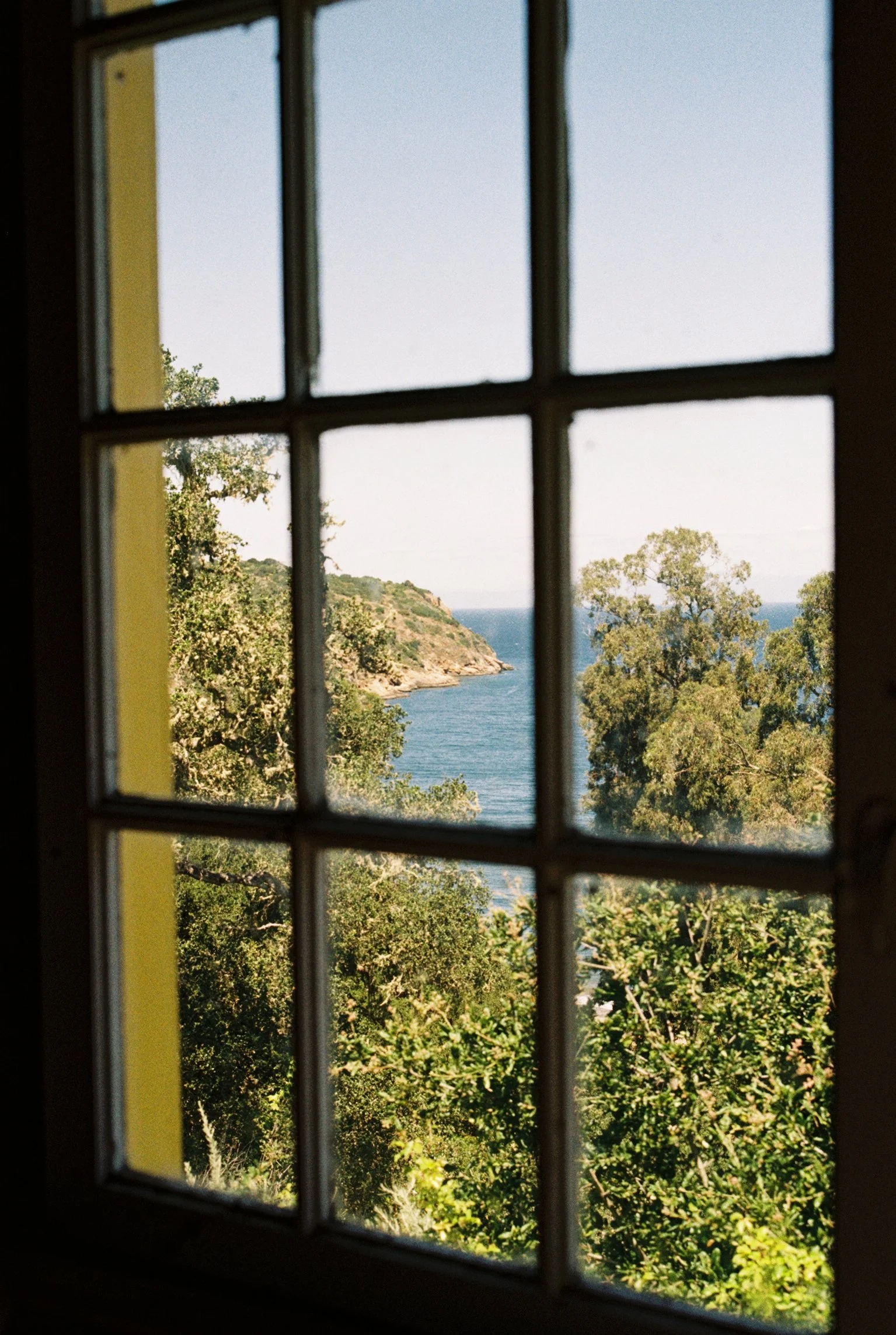 View through a window with a grid of small panes, showing trees, a coastline, and the ocean in the distance during daytime.