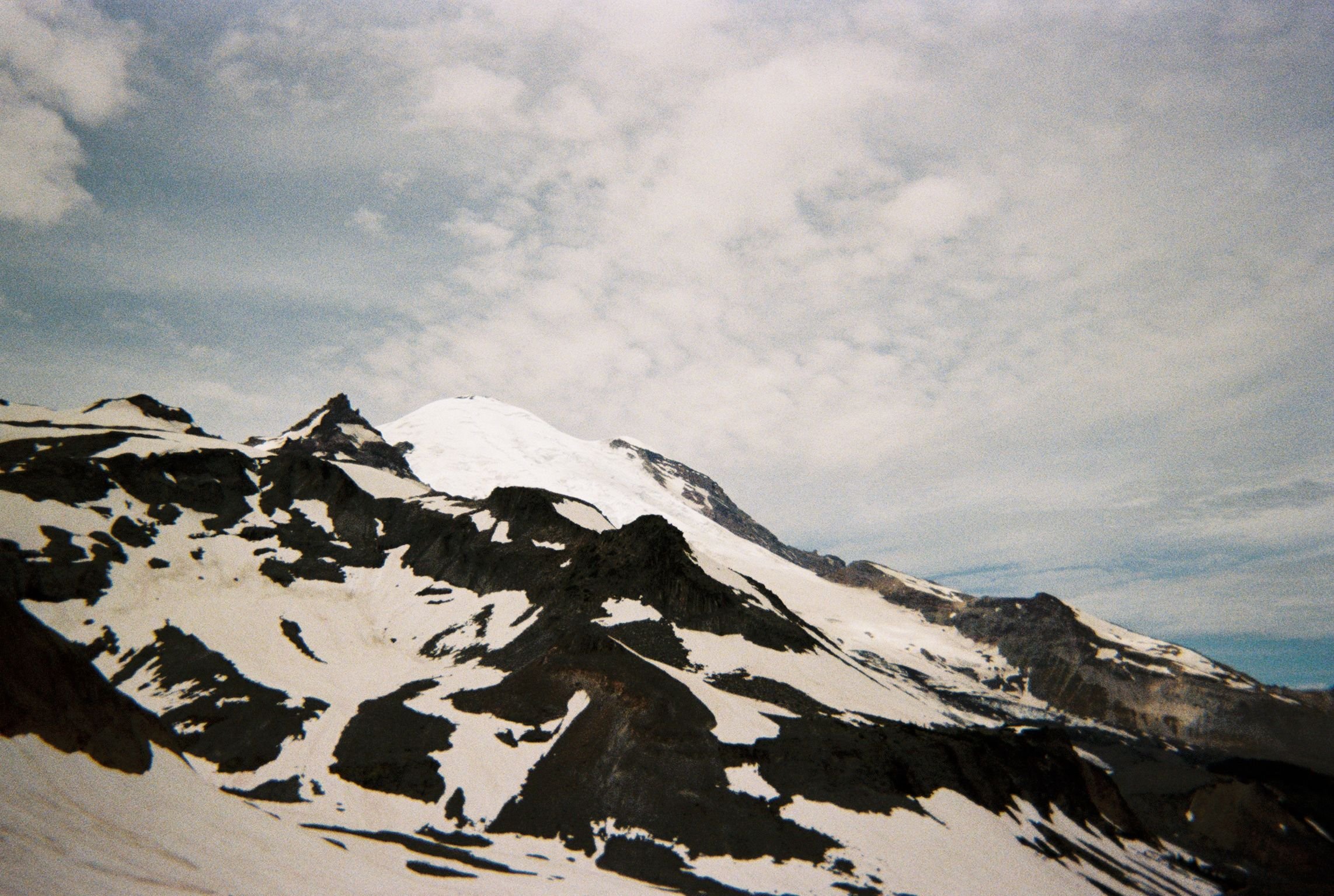 IMG_3529.jpeg