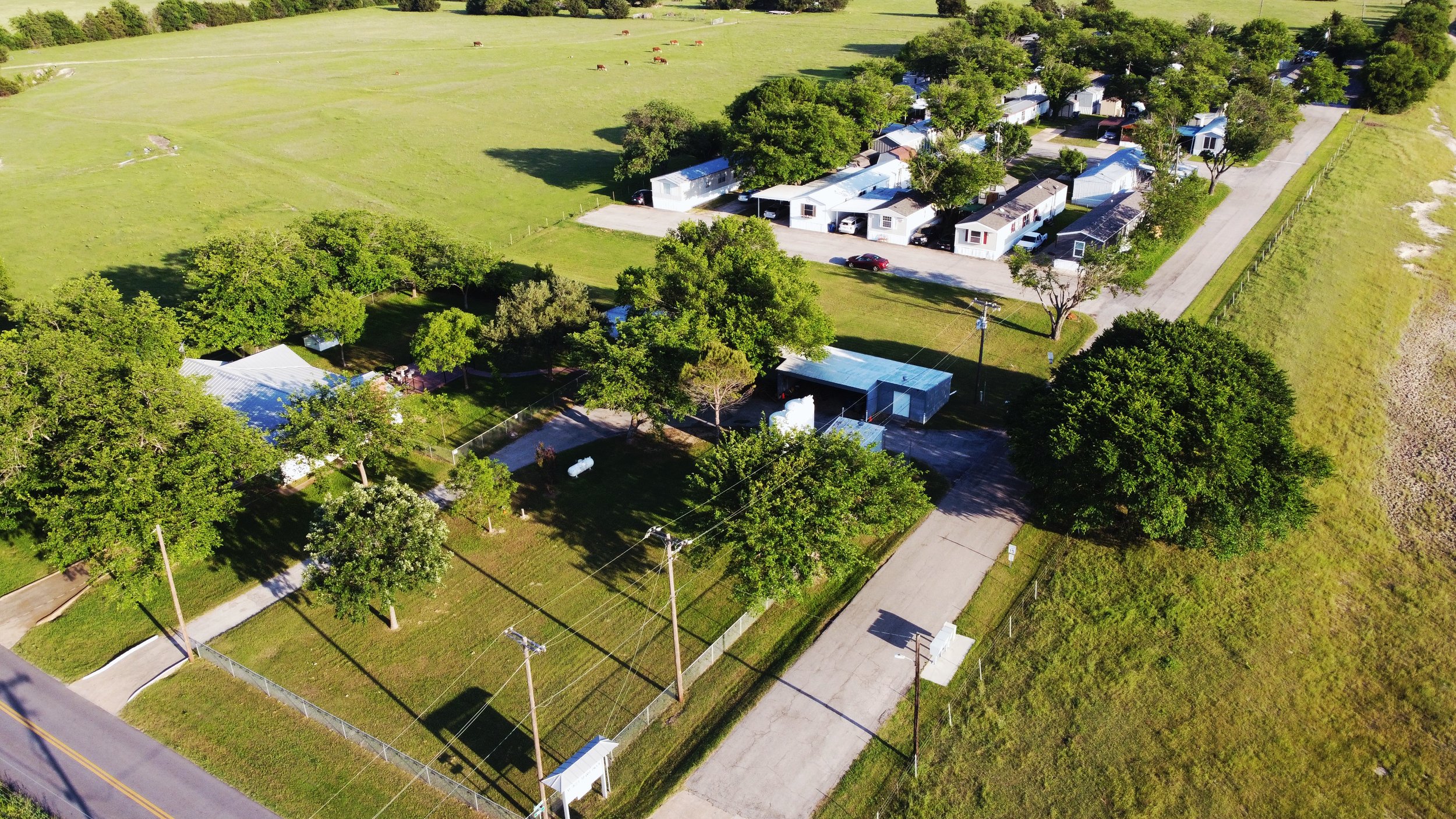 Aerial view of a mobile home park with multiple trailers and well-maintained lawns, situated near a large open grassy field with grazing cattle, surrounded by trees.