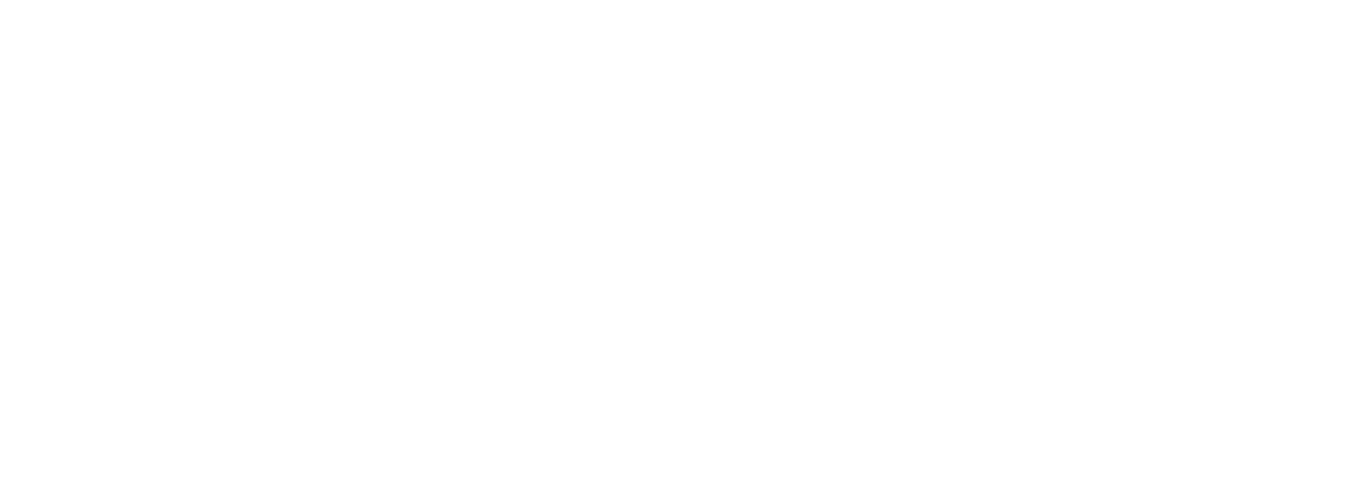 The Aesthetic Collective - US