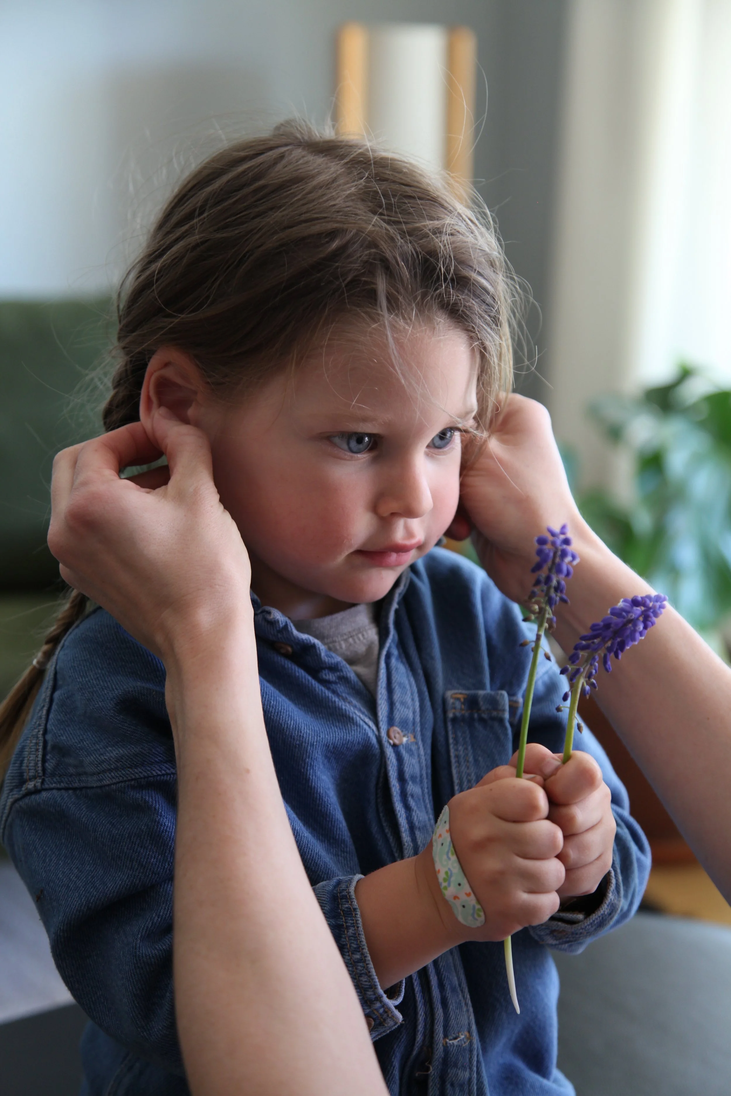 A young boy with long brown hair, blue eyes, and wearing a denim jacket holds a sprig of lavender. Someone is gently adjusting his ears, and he appears to be listening attentively.