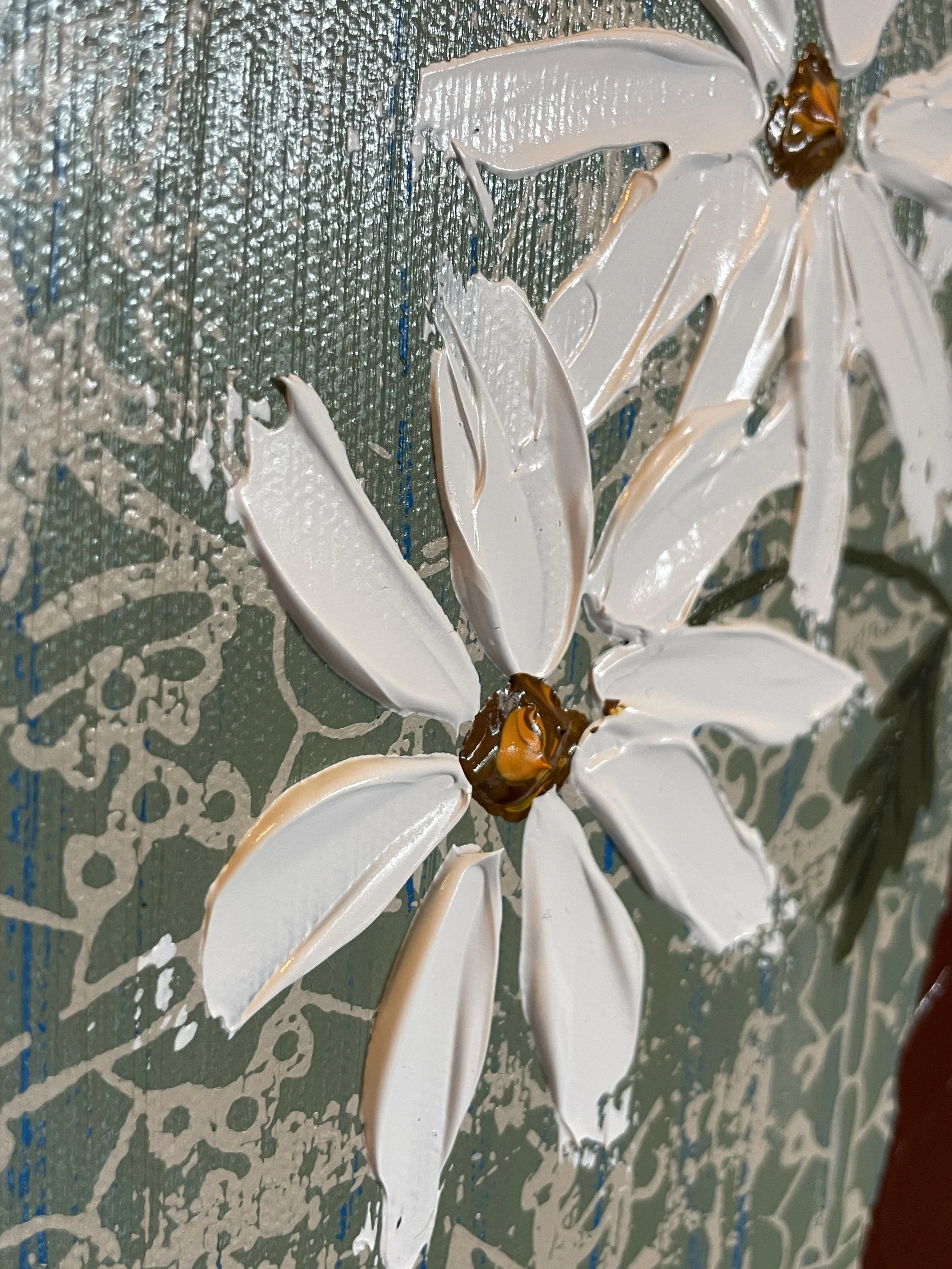 Shasta Daisies 1.JPG
