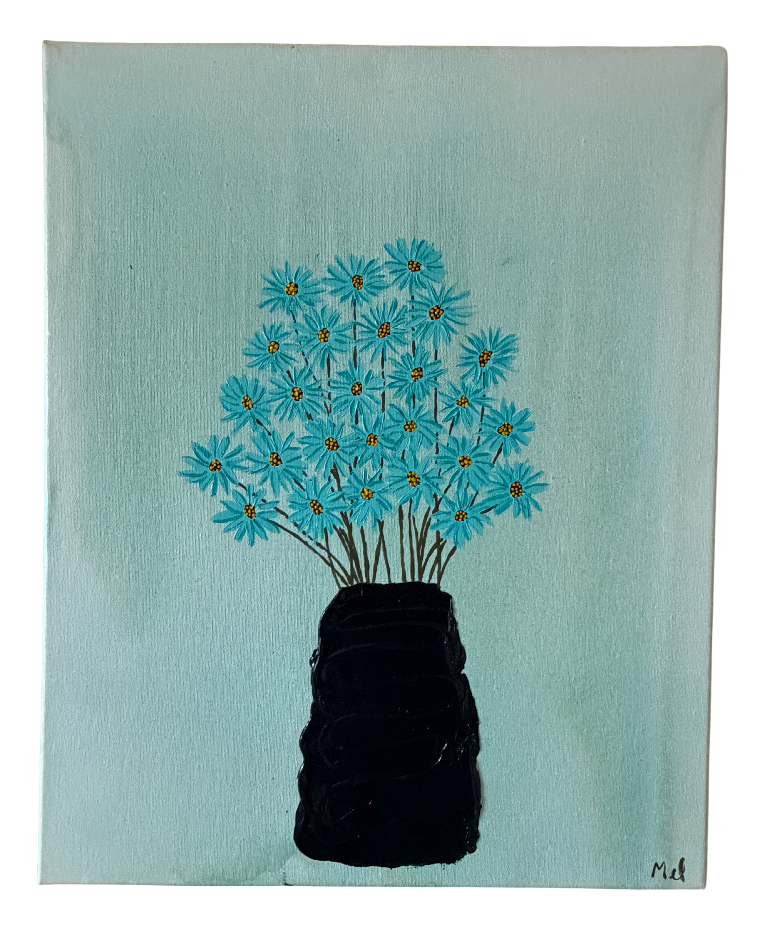 Blue Fringed Daisies